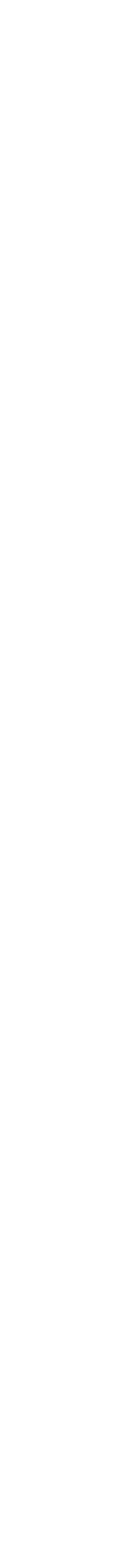 足跡